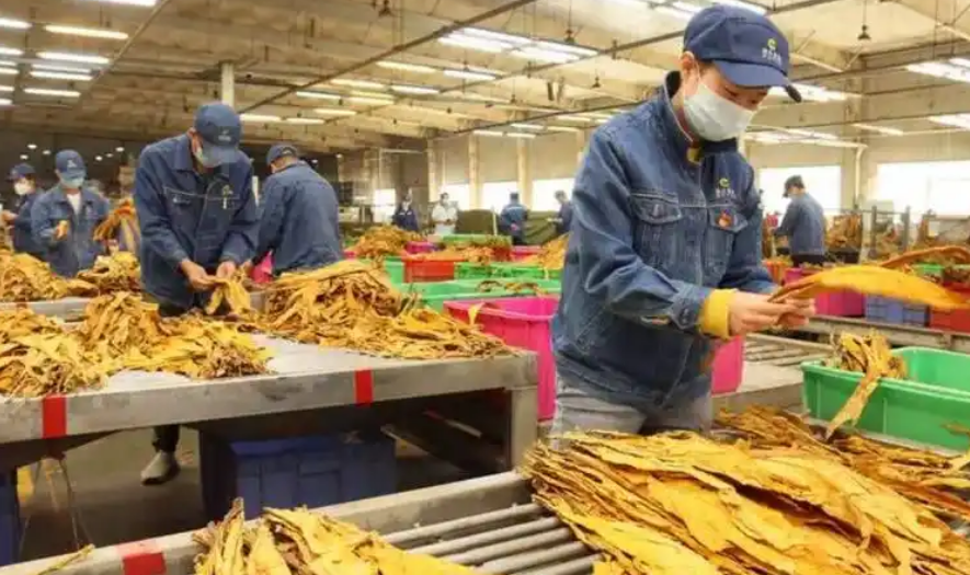 1760346181305826.png 54e31874c7dab0b0b2fb3747087e5570_20251013163045801.png